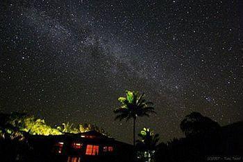 Macadamia Meadows Farm Bed & Breakfast Naalehu ภายนอก รูปภาพ